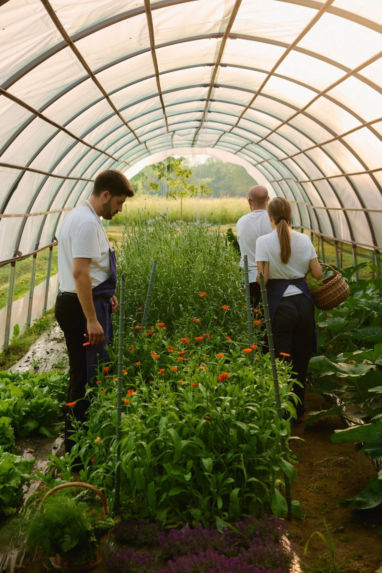 La-capuccina-Savour-31-05-251569