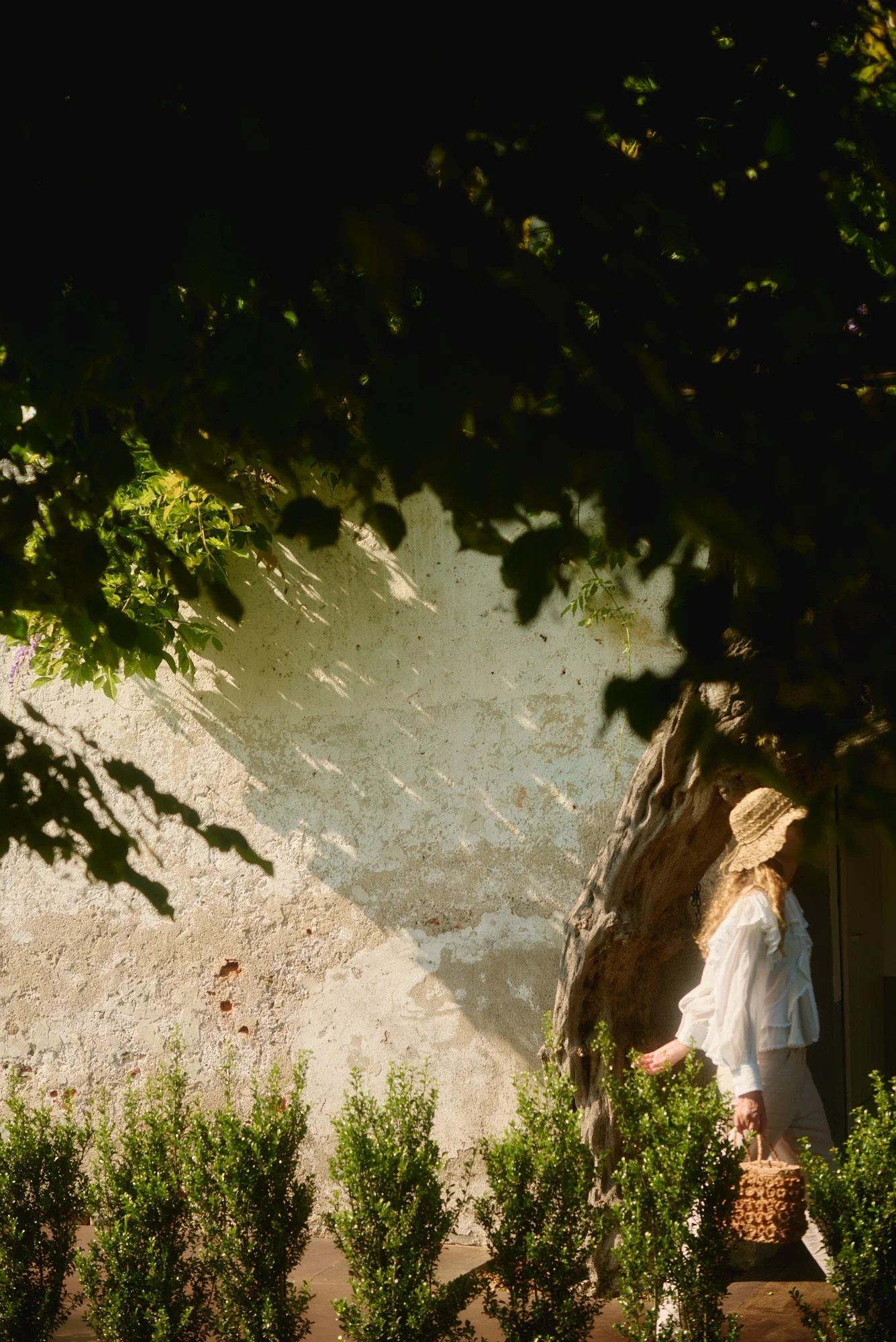 La-capuccina-Savour-31-05-251625