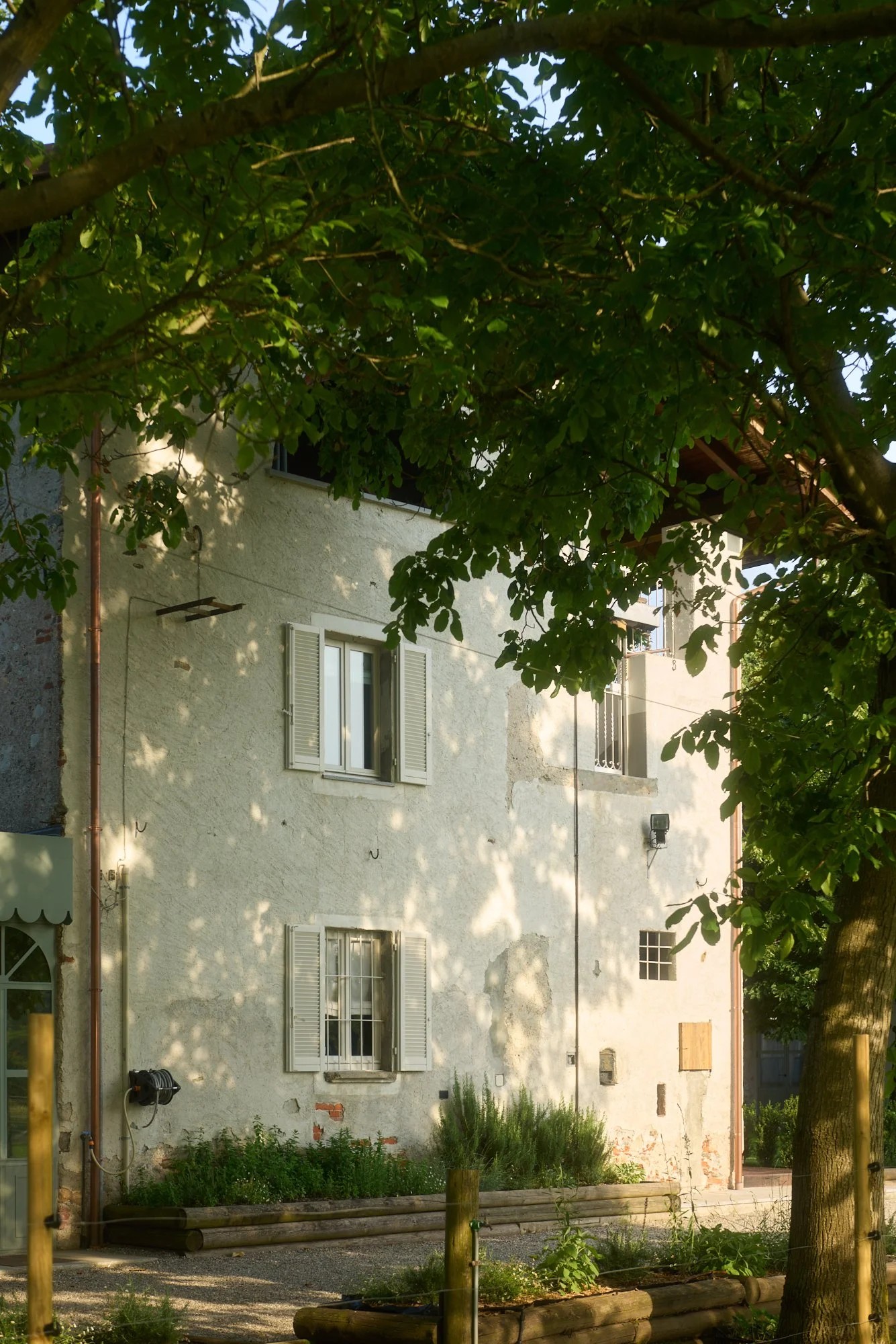 La-capuccina-Savour-31-05-251630